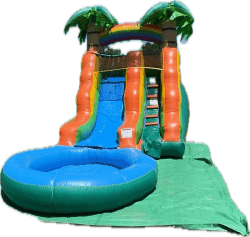 13ft Palm Tree Water Slide