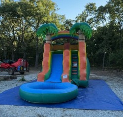 IMG 1028 1746894742 13ft Palm Tree Water Slide