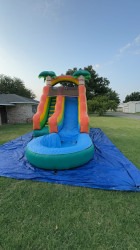 IMG 5271 1746846883 15ft Palm Tree Water Slide