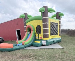 IMG 4477 1772936416 Jungle Combo