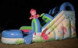 IMG 4563 1773191499 16ft Monkey Business Water Slide