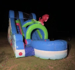 IMG 4567 1773191499 16ft Monkey Business Water Slide