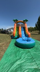 IMG 5267 1773246361 15ft Palm Tree Water Slide