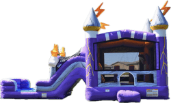 Lighting Castle 4in 1 Wet or Dry Dual lane  Combo